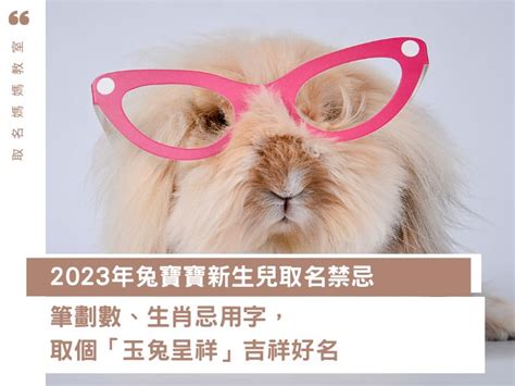 2023屬兔姓名學|2023兔寶寶取名吉祥＆禁忌用字｜有這個字一生不愁 